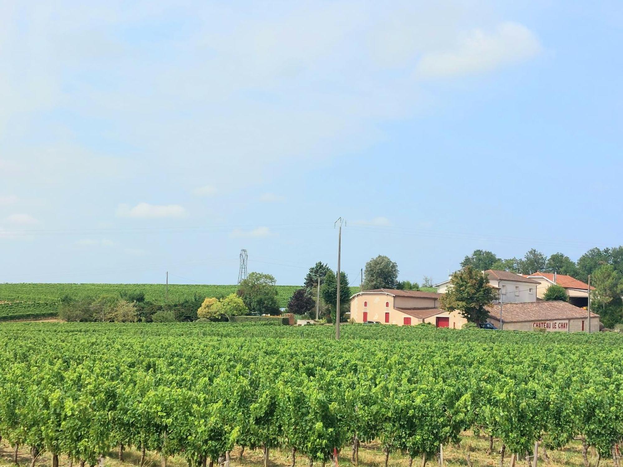 Duplex Cocoon - 10 Min De Blaye - 20 Min Cnpe - Wifi - Tv Hd Apartment Saint-Seurin-de-Cursac Екстериор снимка